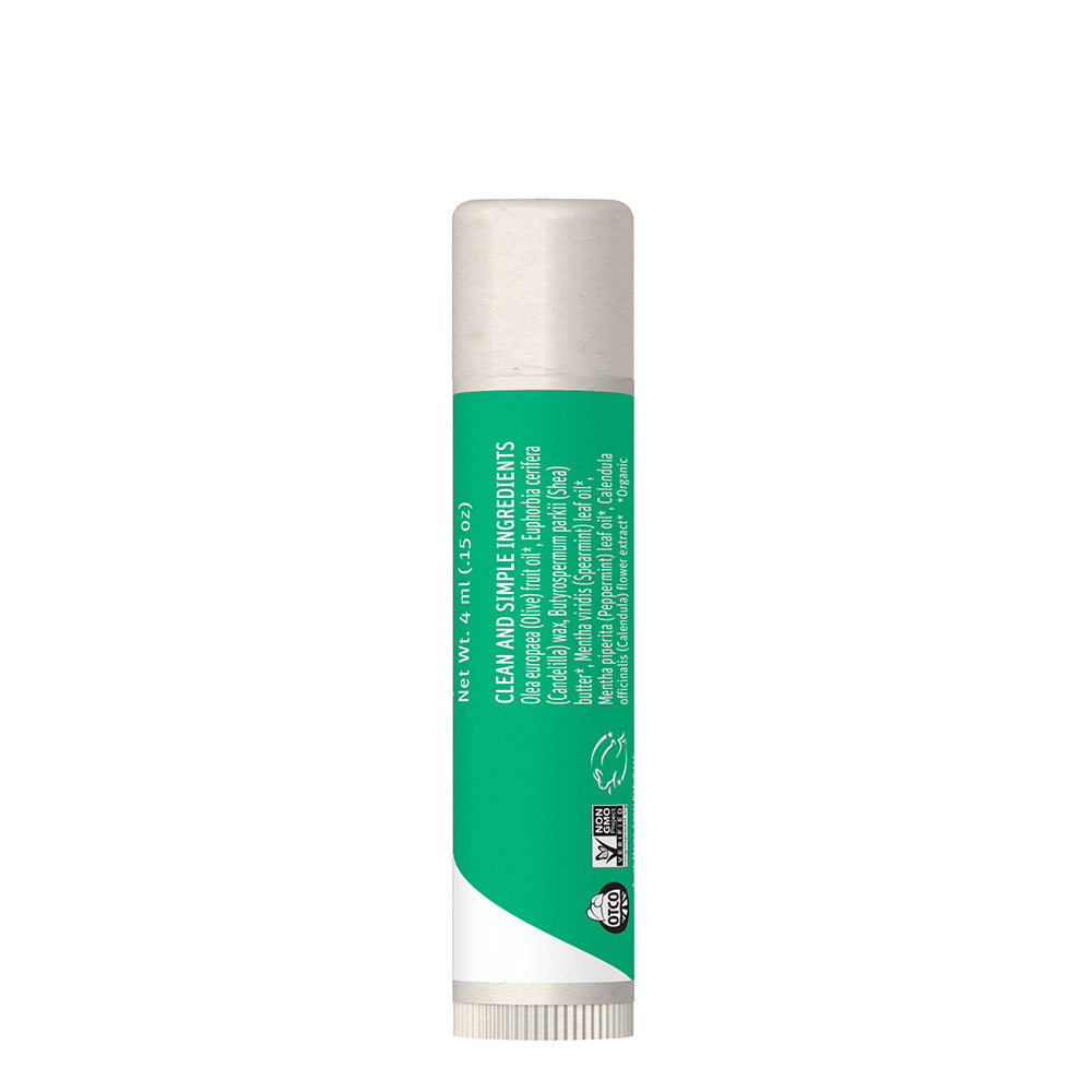 Mint Herbal Lip Balm